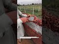 Perfect Brick Line Technique! #bricklaying #construction #DIY #shorts #builder #tools