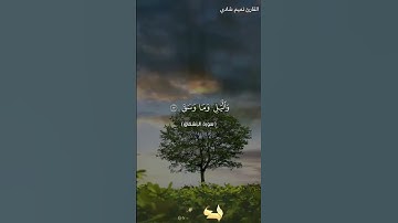 سورة الانشقاق بقراءتي ، القارئ: تميم شادي #القرآن #المصحف#اكسبلور #لايك #سورة #الانشقاق #القارئ#تميم