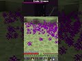 Attack Your Dragon Overlord  #minecraft