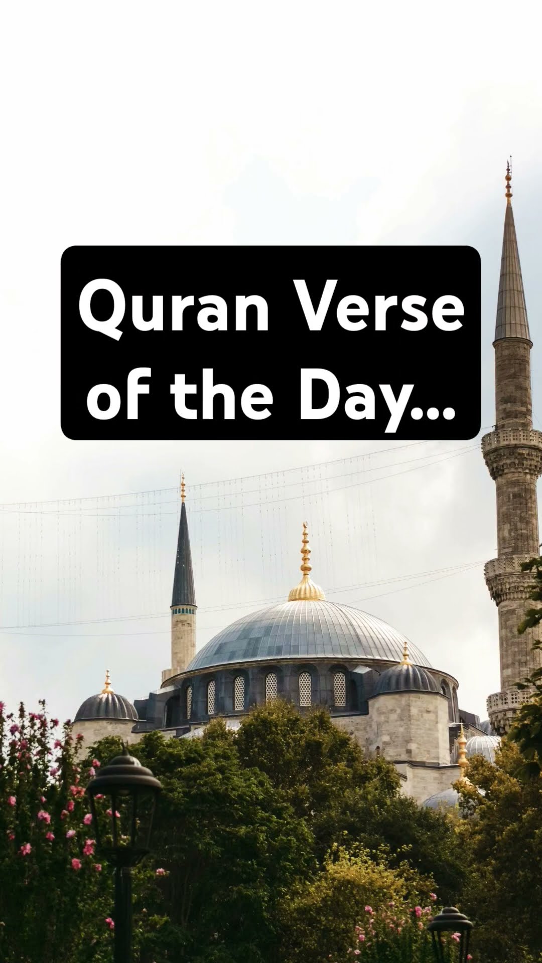 Surah 2 41 Says The Bible WASN T Corrupt At The Time Of Muhammad Surah 2 41 Says The Bible WASN T Corrupt At The Time Of Muhammad