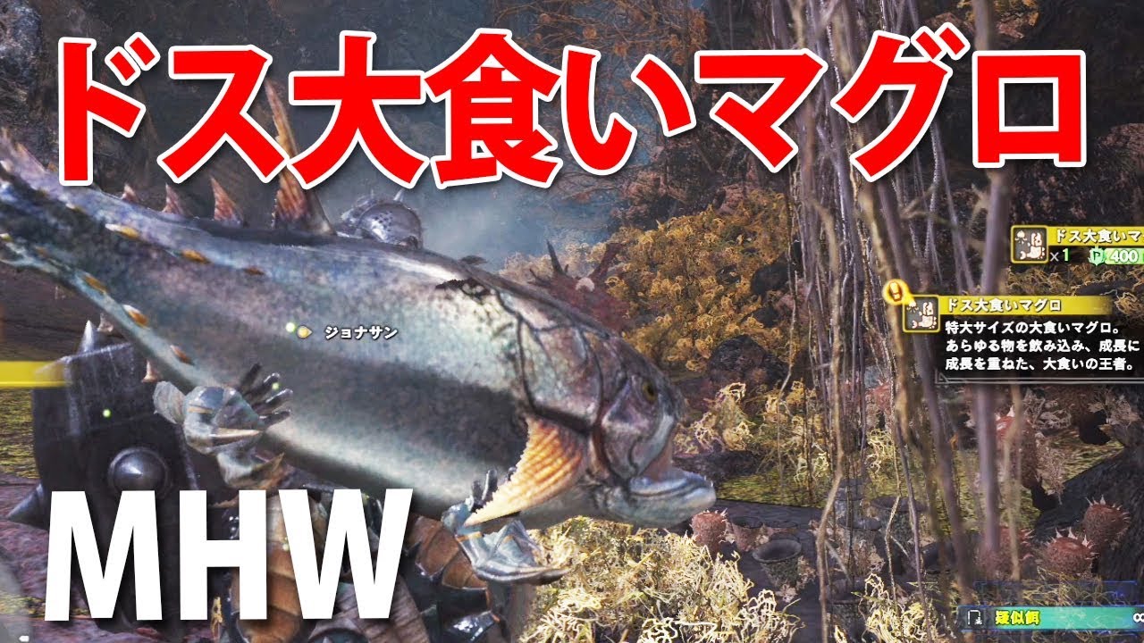 モンハンワールドドス大食いマグロ Mhw Youtube