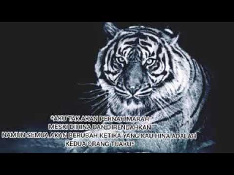 Story wa kidung wahyu ll macan putih