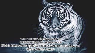 Story Wa Kidung Wahyu Ll Macan Putih