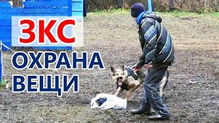 ЗКС - охрана вещей. Дрессировка.(Проводник Татьяна Орлова с ВЕО Ламия Серебряный стиль (восточно-европейская овчарка). ЗКС - защитно-карауль..., 2015-12-14T21:05:51.000Z)