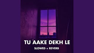Tu Aake Dekh Le (Slowed + Reverb) - Anuika