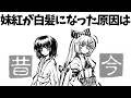 あまり知られていない東方原作設定 No.51