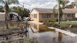 Habitat’s work in Florida after Hurricane Irma
