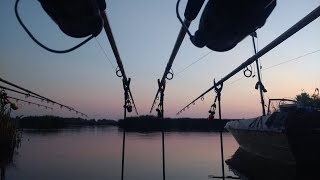 Крупный карп с берега ВЕЧЕРНИЙ КЛЕВ