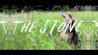 Josh Ritter - The Stone [Acoustic]