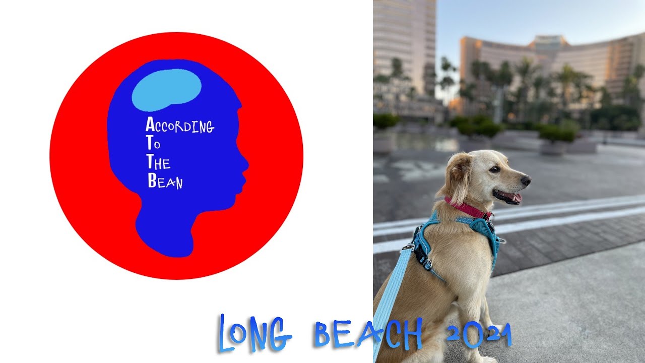 Long Beach Dog Friendly Vacation YouTube