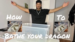 How To Give Your Bearded Dragon A Bath Warning Dont Copy The First Part Of The Video.