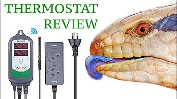 INKBIRD Temperature Controller Thermostat REVIEW!