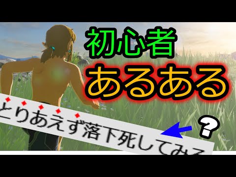 初心者あるある 集【ブレワイ】