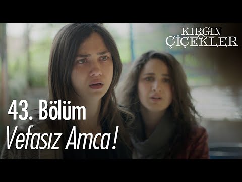 Seher'in kötü yola düşmesinin sebebi! - Kırgın Çiçekler 43. Bölüm