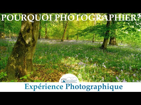 Comment Faire Carrière Dans La Photographie De Paysage