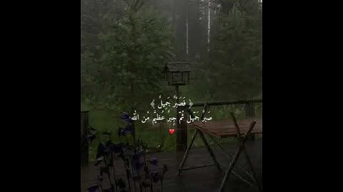 فصبر جميل - اجمل حالات واتس اب قرآن كريم🌸💛| تلاوه تنسيك هموم الدنيا كلها