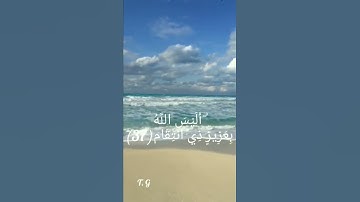 أَلَيْسَ اللَّهُ بِكَافٍ عَبْدَهُ ۖ وَيُخَوِّفُونَكَ بِالَّذِينَ مِن دُونِهِ.. تلاوة خاشعة