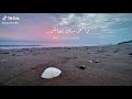 احلى ايامى واجمل سنين تتعاش الهضبه