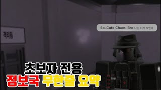 SCP 롤플레이 모든것을 때려잡는 정보국 요약