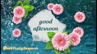 Good Afternoon Whatsapp Images
