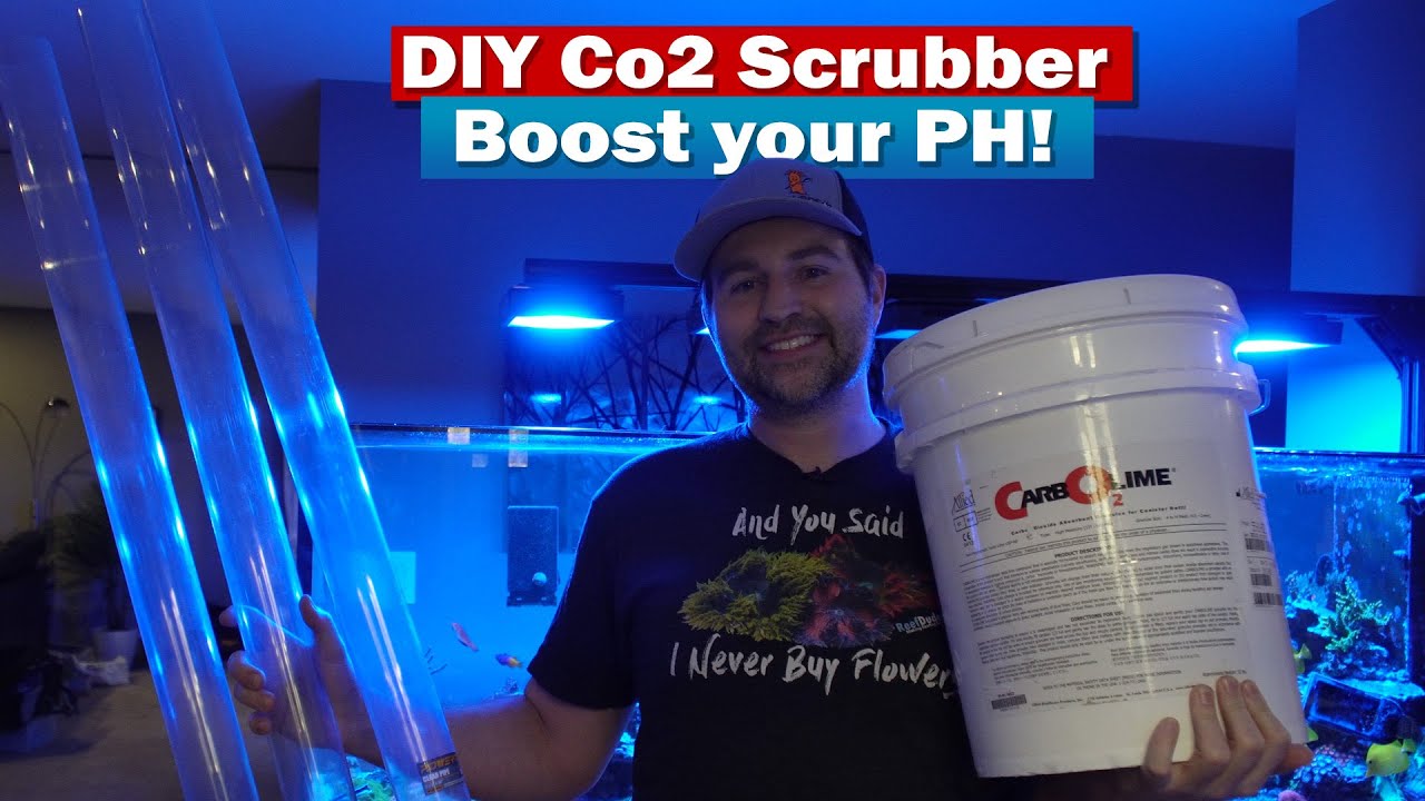 Curated visual reference: Marine Aquarium Co2 Equalizers Reference: DIY Co2 Scrubber Boost Your Saltwater Aquarium Reef Tanks Ph