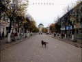 Исповедь. - ПЕСНЯ ПРО СОБАКУ.