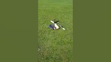 Align TREX 700 crash