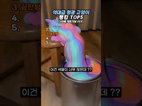 역대급 형광 고양이 랭킹 TOP5 #랭킹#<strong>유머</strong>#웃긴영상