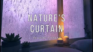 Nature's Curtain | Rain and Thunder Meditation in the Comfort of Home [8-Hour Looped] screenshot 4