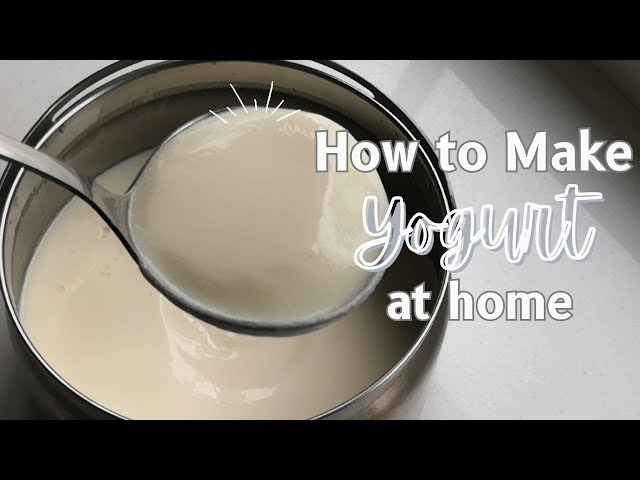 Homemade Yogurt (thermos method) - life in the boat