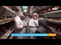 ابن جرير جولة في ضيعة لإنتاج بيض الاستهلاك لمراقبة الجودة وحجم الإنتاج 