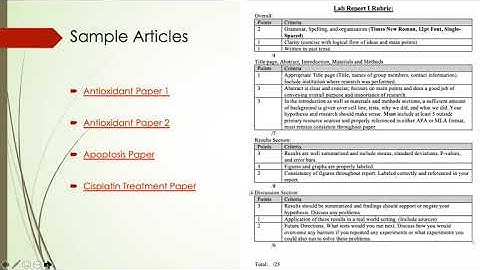 BIO320 Lab Report I Video