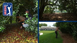 Xander Schauffele’s ruling explained at Wells Fargo Championship