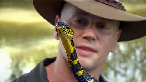 Snake venom an irreplaceable resource: Dr Bryan Gr...
