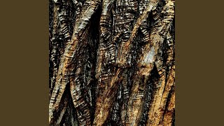 Download Lagu Reod MP3