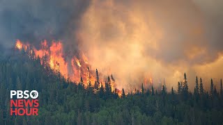 More than 37 million acres burned as Canada struggles to combat devastating wildfires