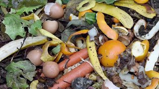 Does Connecticut recycle well? Here's what you need to know