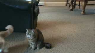 Autumn prefers to sit back and observe