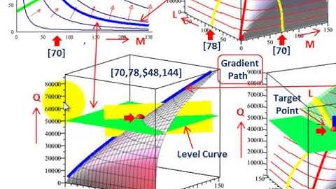 Linear Programming (Production Function Gradient Path & Directional Derivative Calc.& Visual)