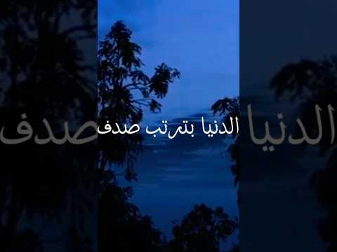 حلم حياتي وصحيت وياك علي يوم عيدي وائل الجسار
