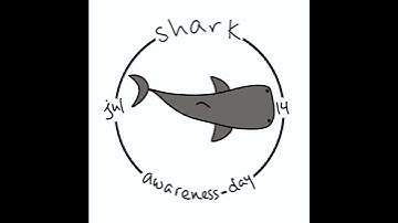 There are 400+ species of shark out there.  🦈🦈🦈
