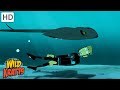 Stingray Creature Powers Quiz