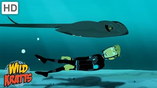 Say Hello to the Stingray | Creature Disappearing Act | Wild Kratts