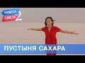 Пустыня Сахара (Тунис). Орёл и Решка. Чудеса света - 2 (eng, rus sub)