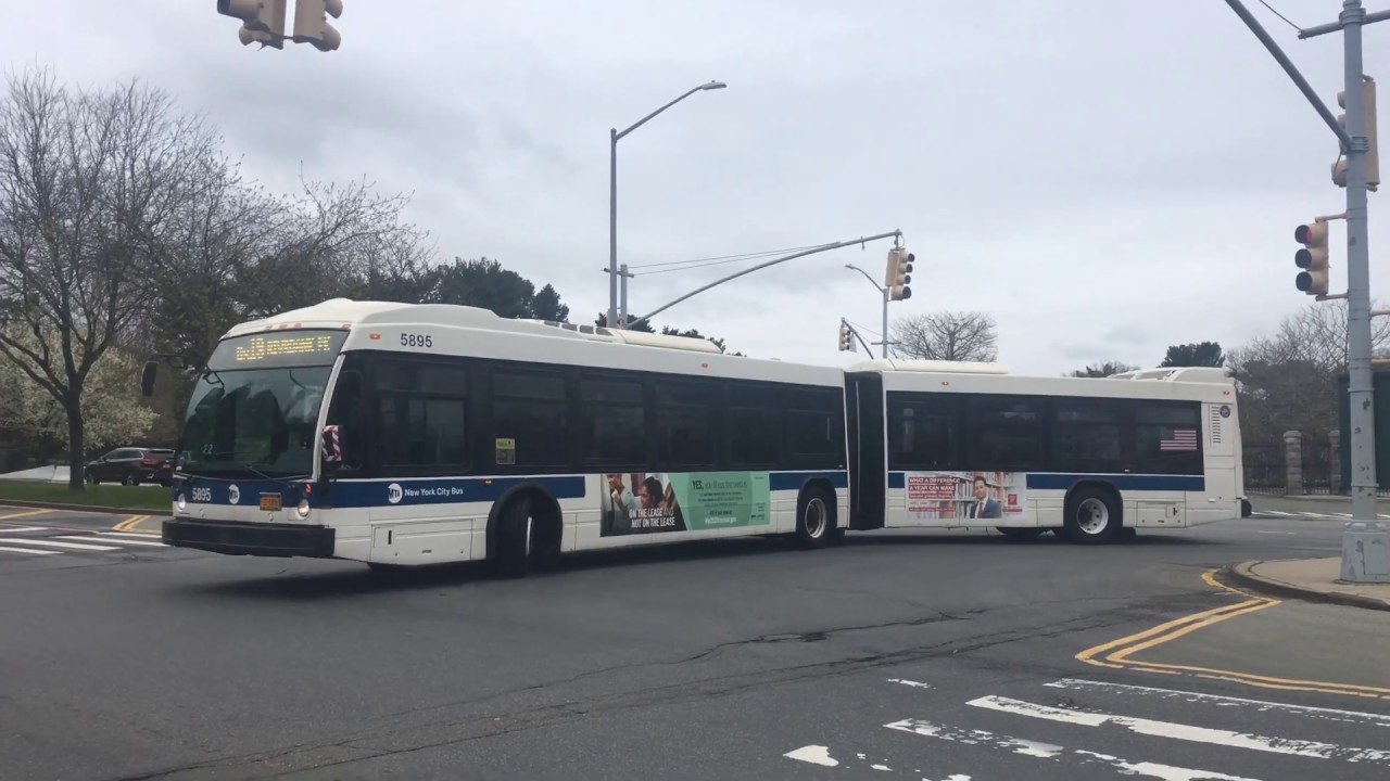 MTA NYCT Bus Observations: Botanical Gardens - Bx19 - YouTube