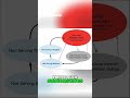 Heal Emotional Wounds and Beliefs - Understand Your Past, Change your Present