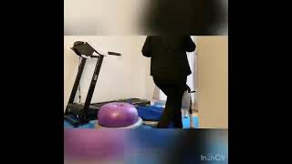 American Staffordshire Terrier - Dog Balance Training Handler Gaia Favretto