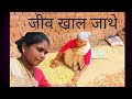 मोला कंझात लग गे ।। आज जल्दी से घर आ  गई हूं।।#cgvlogs 🥰🥰🥰