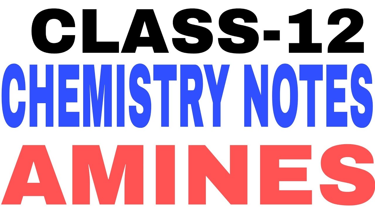 amines-class-12-more-than-sufficient-for-exam-pdf-in-description