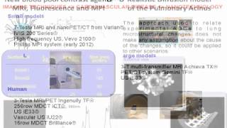 Nanotechnology and Imaging to Solve Biological Problems - Fernando Herranz Rabanal